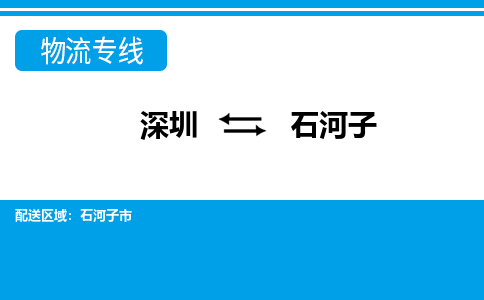 深圳到石河子物流公司-新疆专线快速直达「全境辐射」